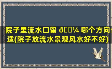 院子里流水口留 🌼 哪个方向合适(院子放流水景观风水好不好)